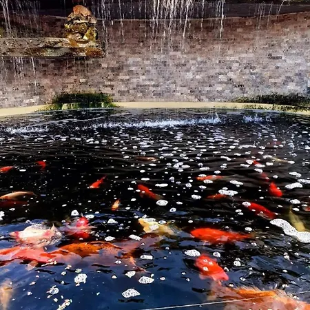 Complex Casa Ani * エフォリエ・ノルド