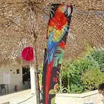Complex Casa Ani Rezort