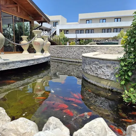 Complex Casa Ani אתר נופש אפורי נורד