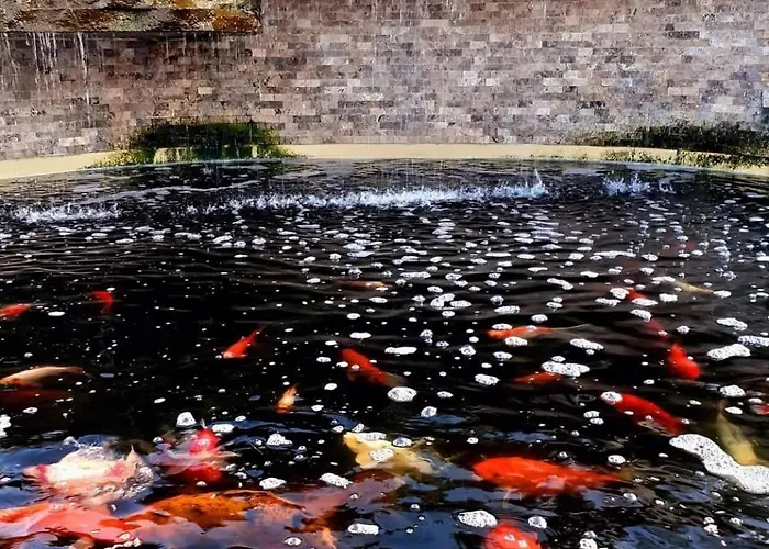 Complex Casa Ani * Eforie Nord